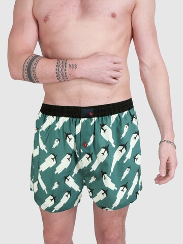 Boxers 'Flying Falcon' UNABUX en vert : devant