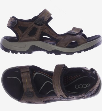 ECCO Sandals & Slippers in 45 in Brown: front