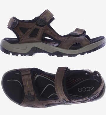 ECCO Sandalen 45 in Braun: predná strana