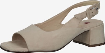 Högl Slingback Pumps in Grey: front