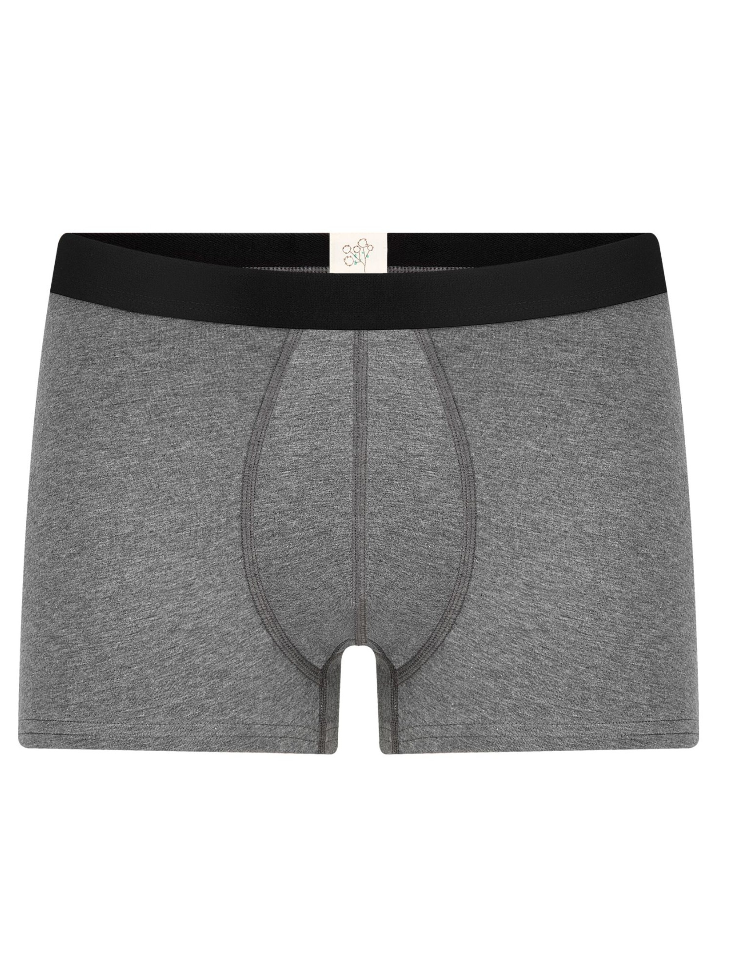 Albero Natur Boxershorts 'Herren Trunkshorts aus Bio-Baumwolle'‌‌ in Grau: Vorderseite