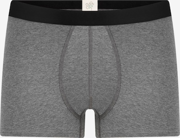 Albero Natur Boxershorts 'Herren Trunkshorts aus Bio-Baumwolle' in Grau: Vorderseite