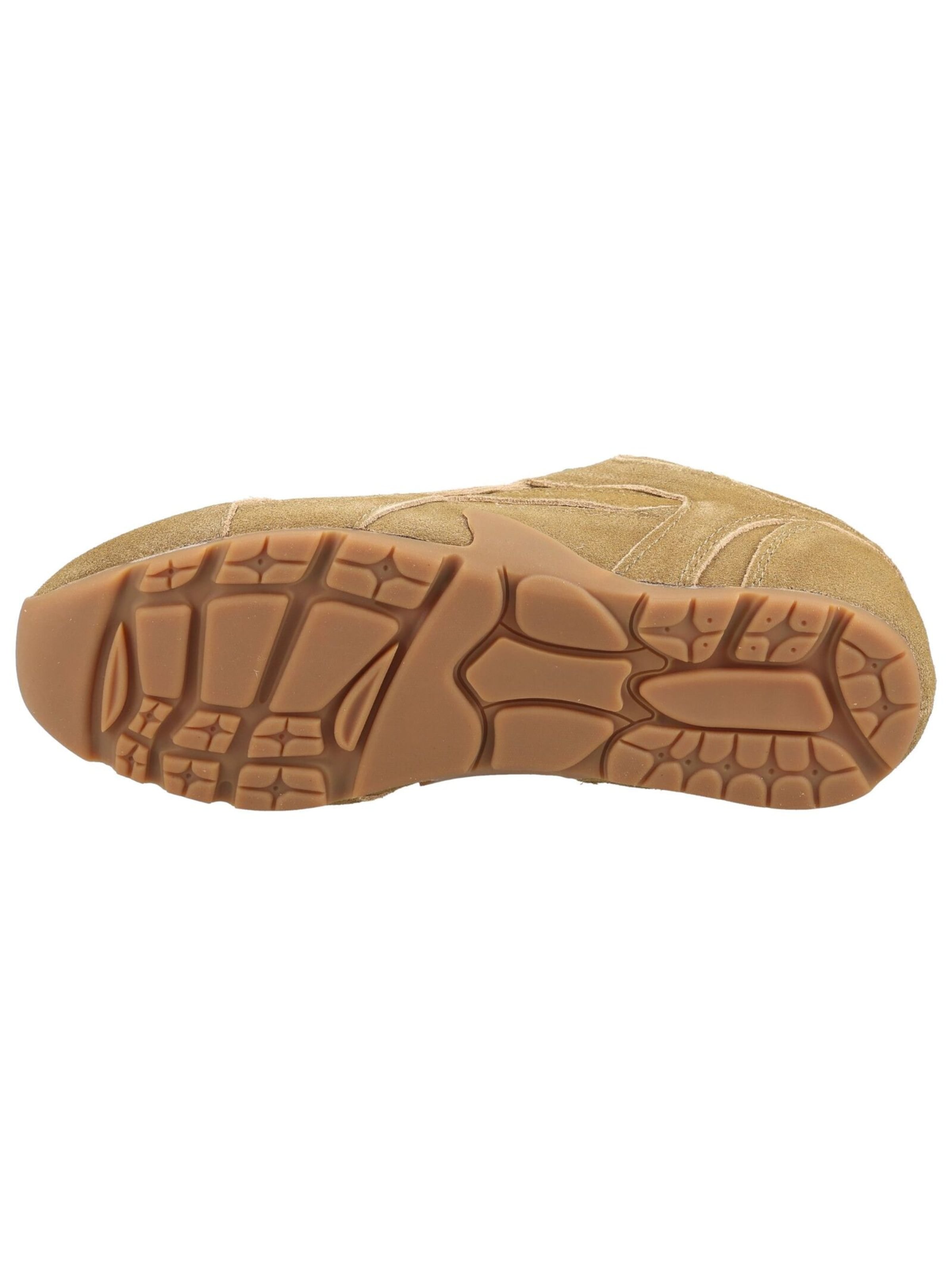 Sneaker bassa di STEVE MADDEN in marrone