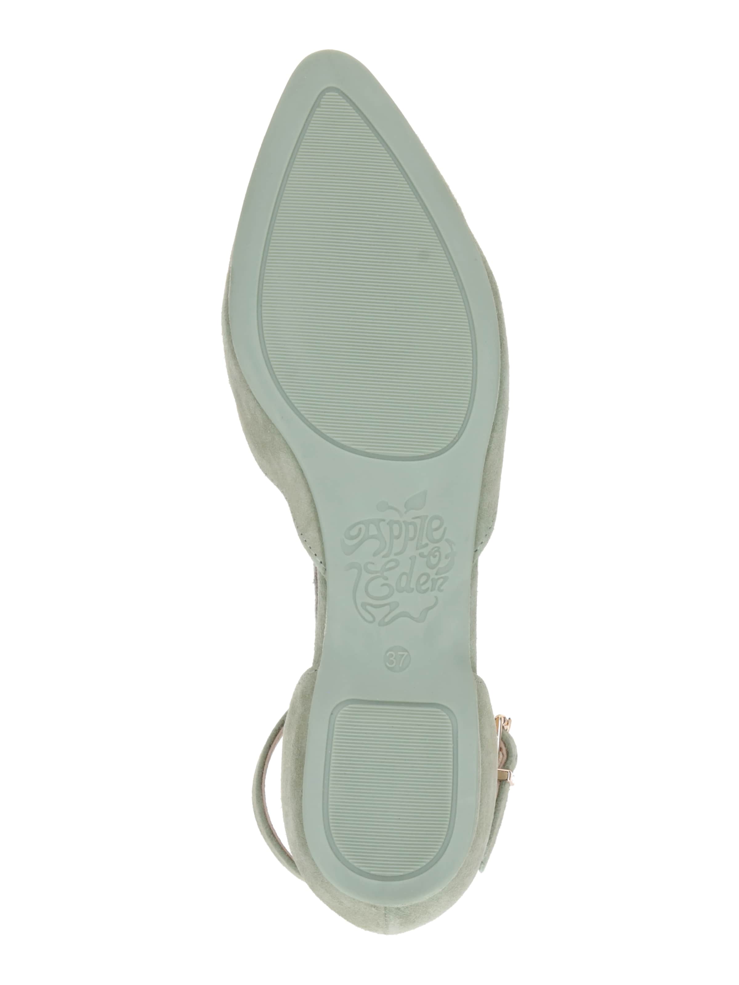 zaļš Apple of Eden Balerīnas 'Bruna'