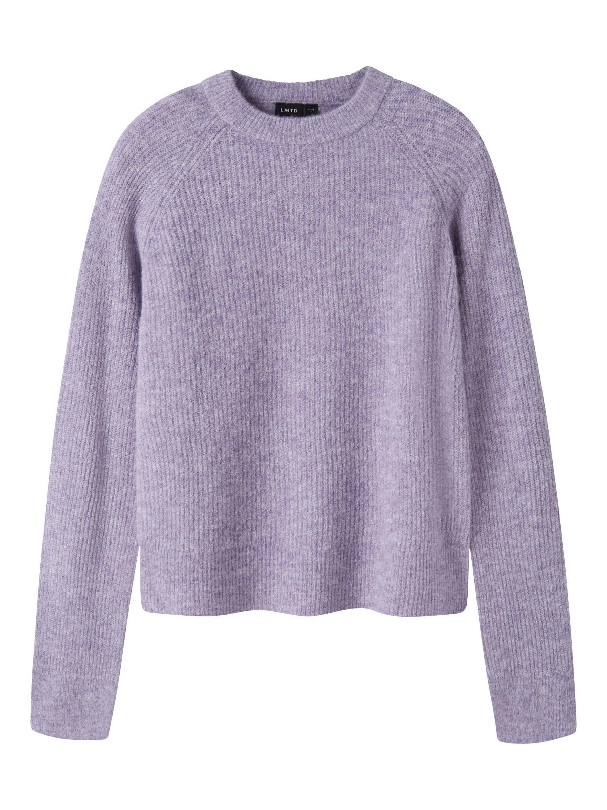 LMTD Sweater in Purple: front