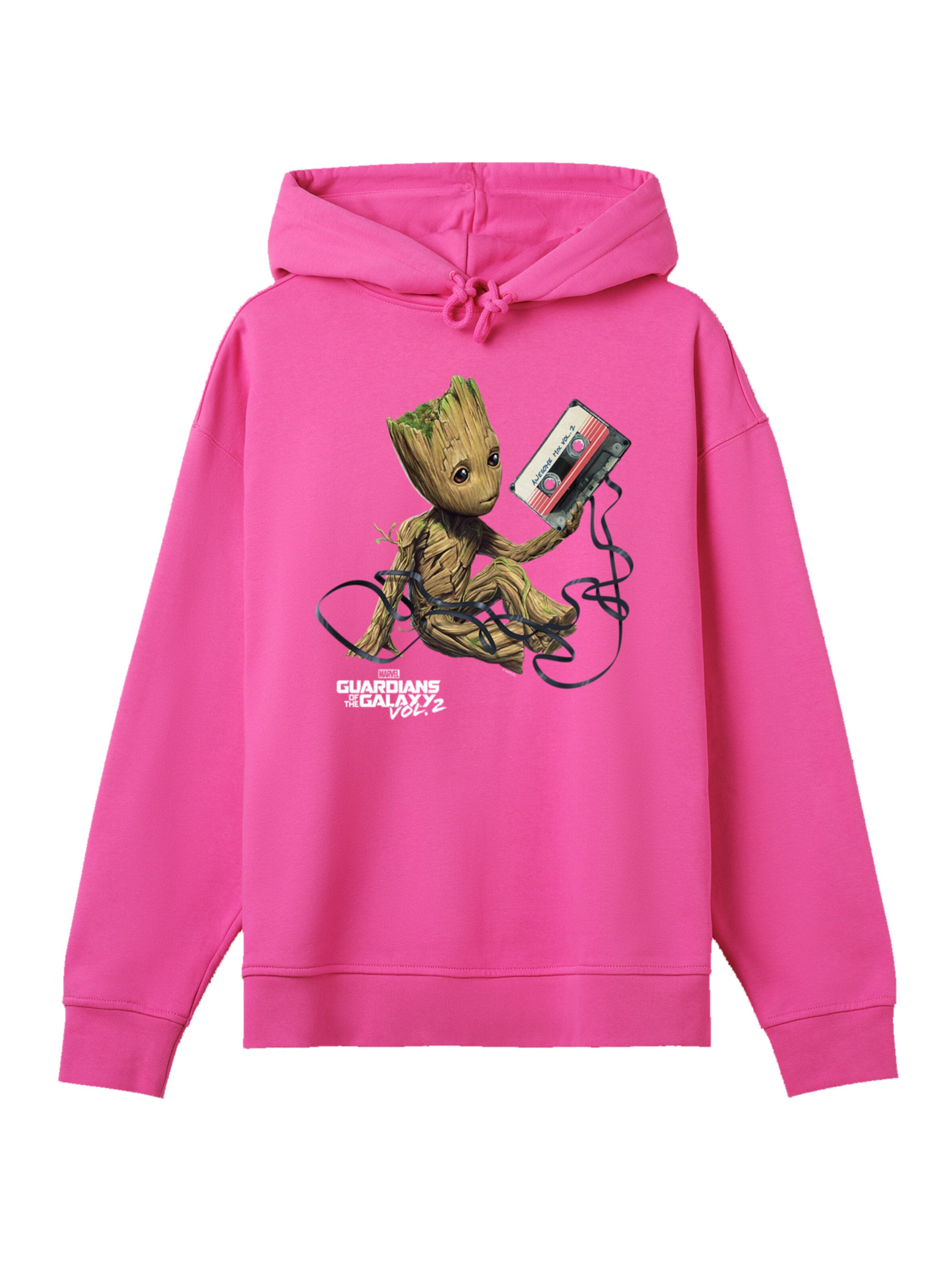 F4NT4STIC Sweatshirt in Pink: Vorderseite