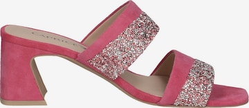 CAPRICE Mules in Pink