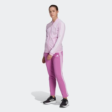 ADIDAS SPORTSWEAR - Fato de treino 'Essentials 3-Stripes' em roxo: frente