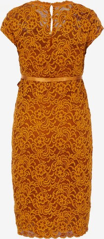 MAMALICIOUS Kleid in Orange