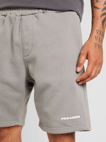 Loosefit Pantaloni di Pegador in grigio