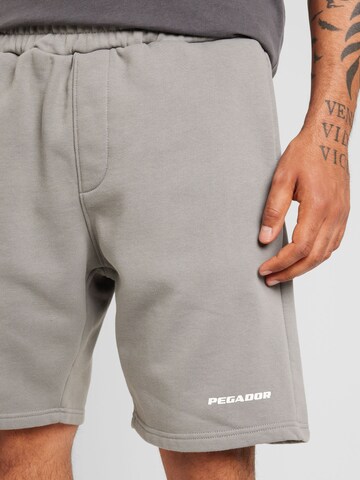 Loosefit Pantalon Pegador en gris