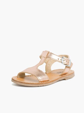 Sandales Pisamonas en marron : devant