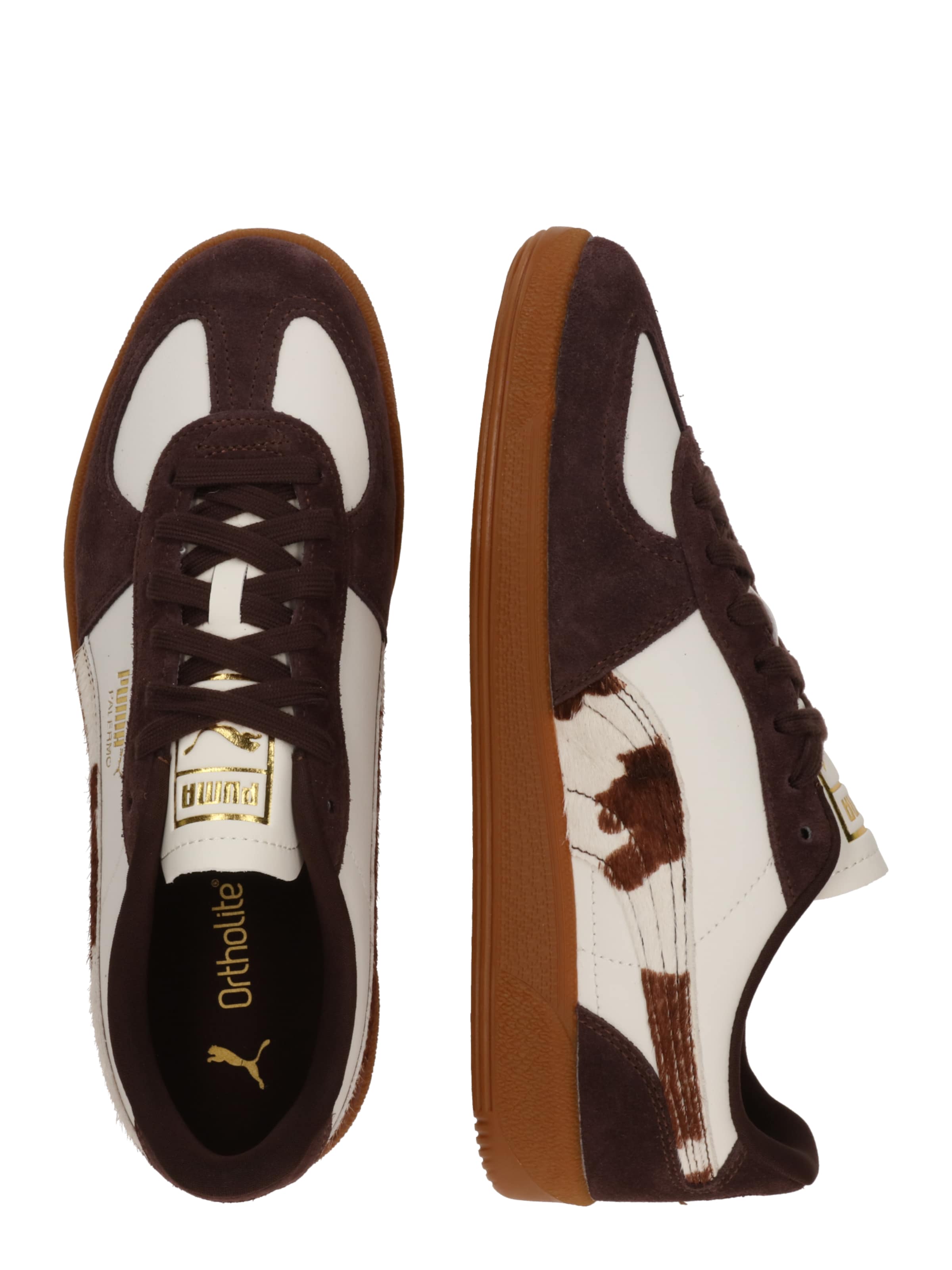 PUMA Σνίκερ χαμηλό 'Palermo' σε καφέ