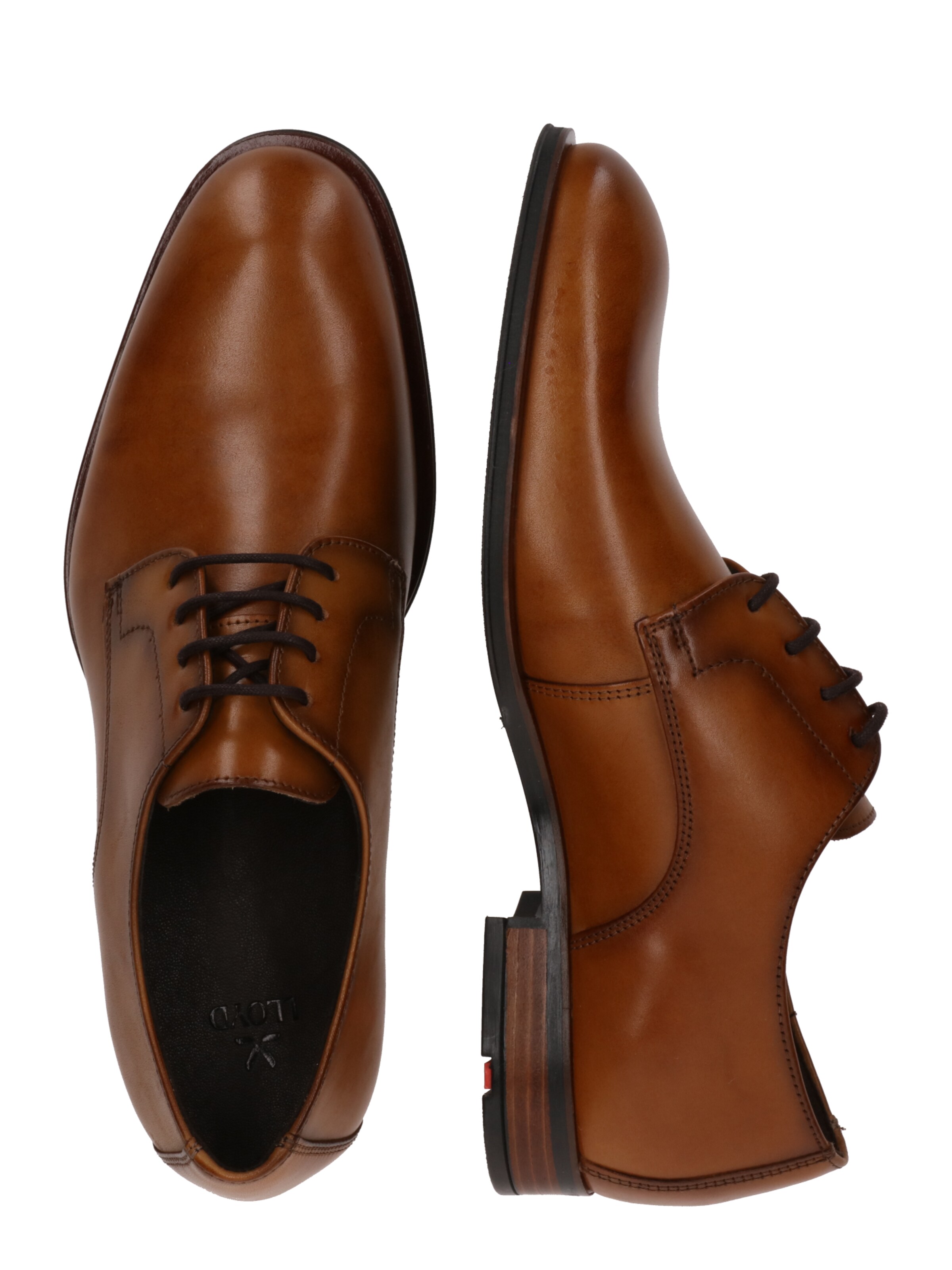 LLOYDCipele na vezanje 'CORE PLUS 110' - smeđa boja