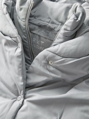 Veste d’hiver Next en gris
