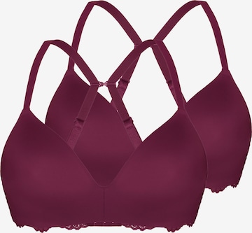 Soutien-gorge sassa en violet : devant