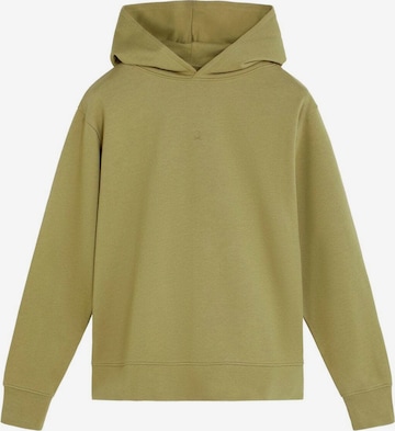 zaļš Scalpers Sportisks džemperis: no priekšpuses