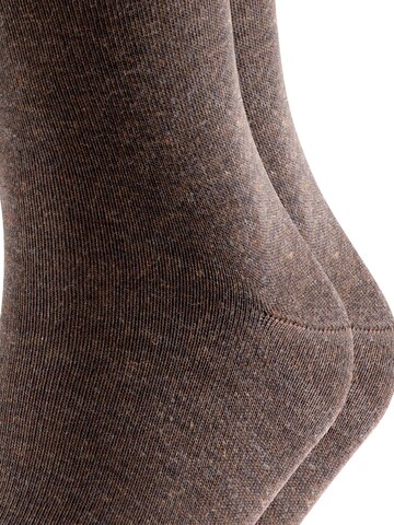 FALKE Socks 'Happy 2-Pack' in Brown