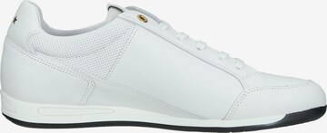 PANTOFOLA D'ORO Sneaker low 'Avezzano' i hvid