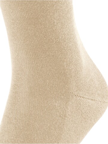 FALKE Socks 'Family' in Beige: front