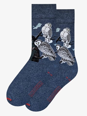 MuseARTa Socken 'John James Audubon - Schneeeule' in Blau: Vorderseite