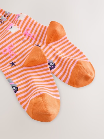Next Panty's 'Halloween' in Roze