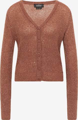 Cardigan usha BLACK LABEL en marron : devant