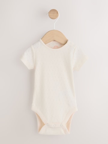 Next Sada – oranžová