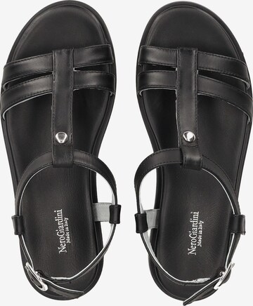 Nero Giardini Strap Sandals in Black