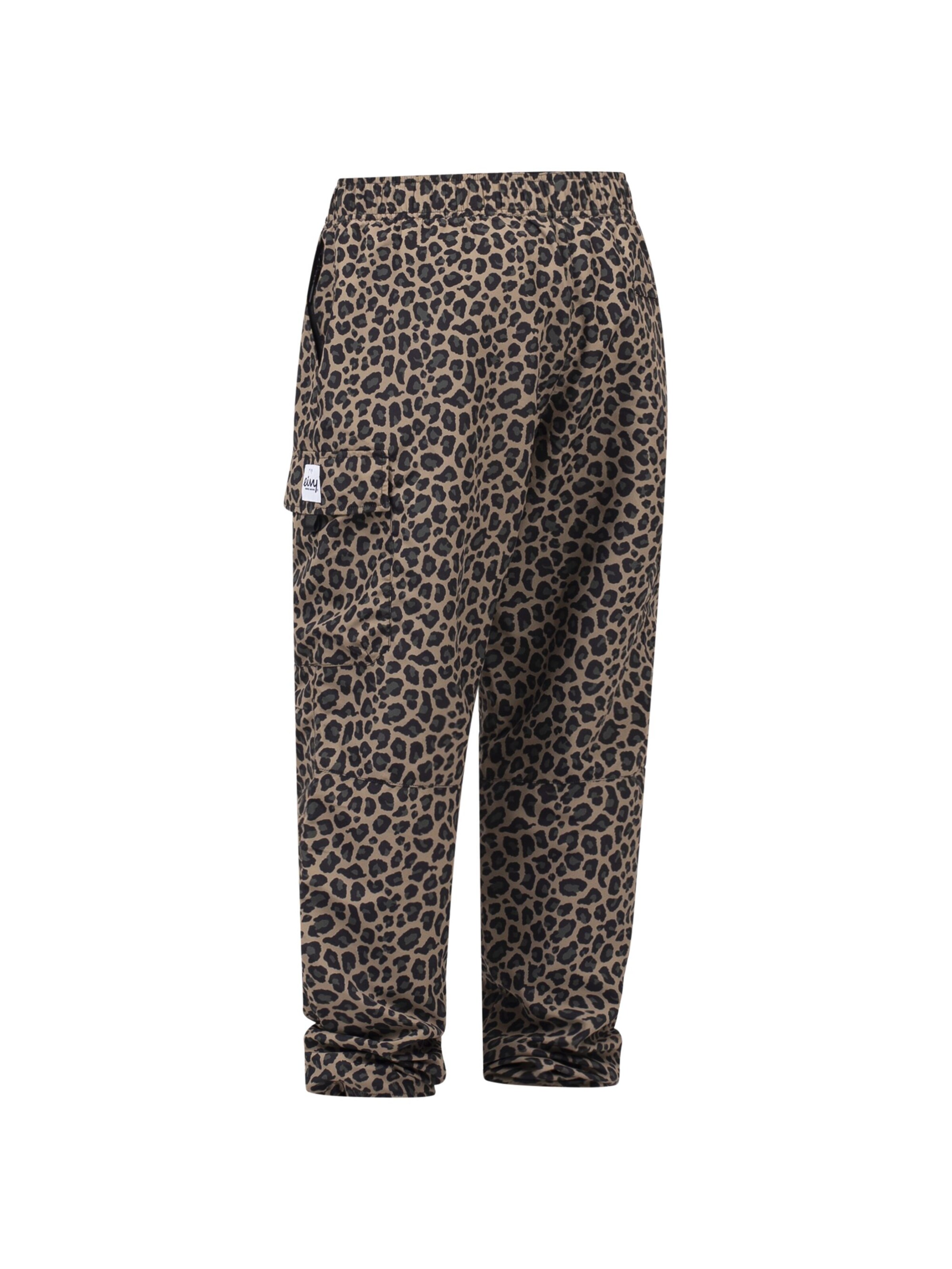 Regular Pantalon outdoor Eivy en marron