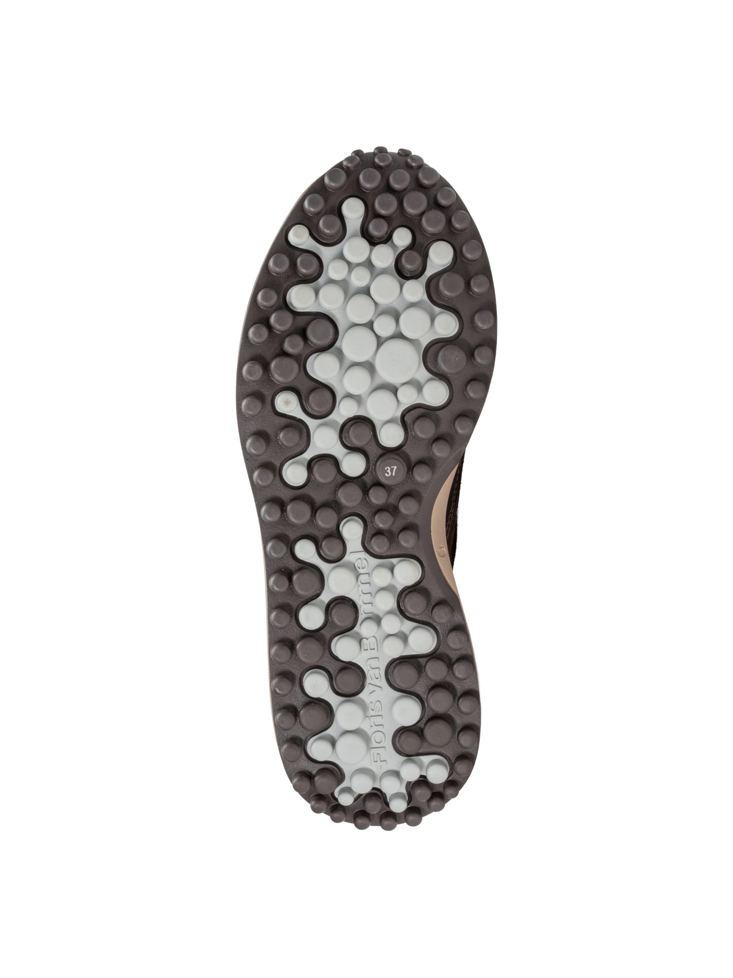 Floris van Bommel Sneakers 'Noppi 52' in Brown