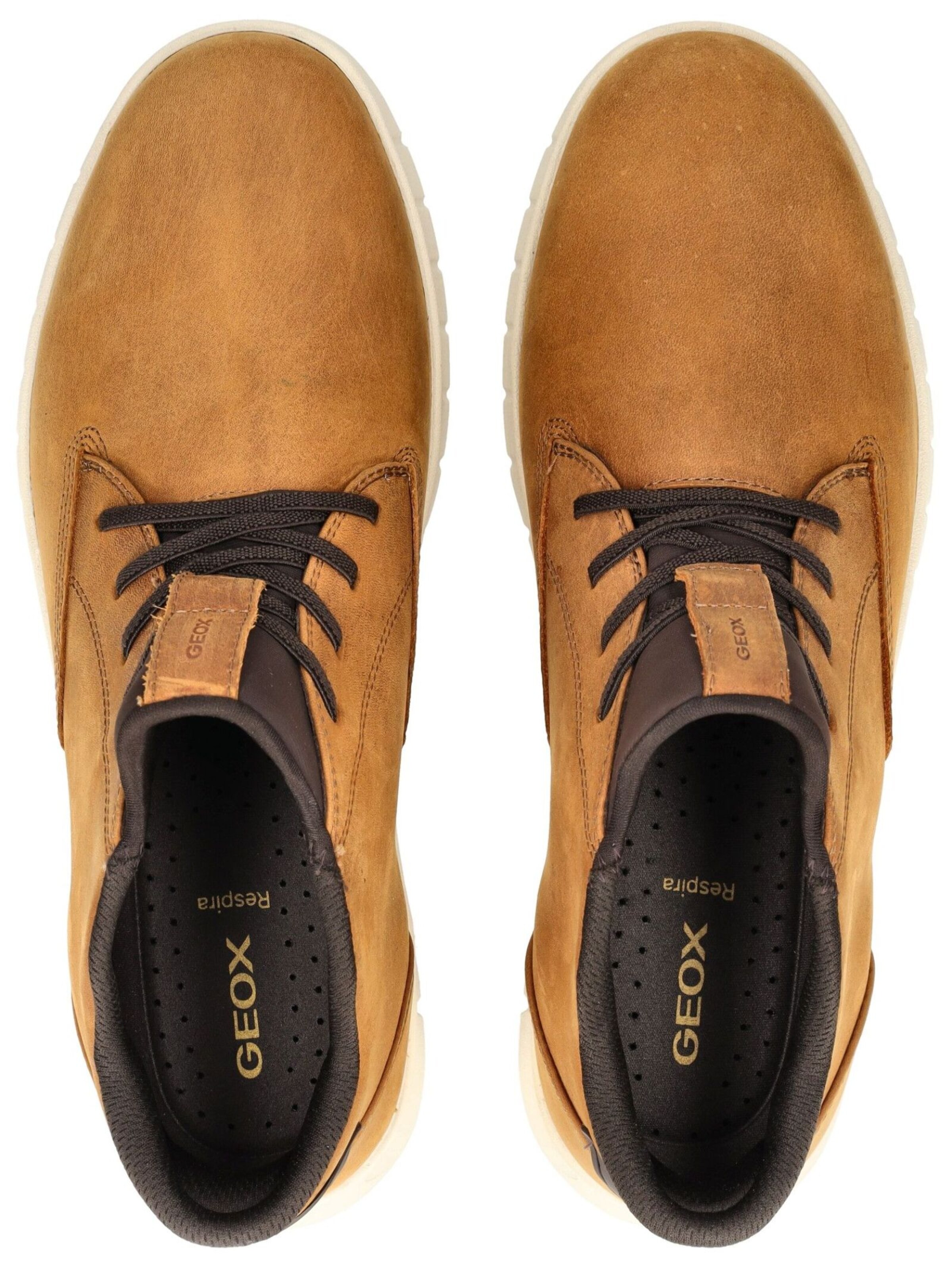 Baskets hautes GEOX en marron