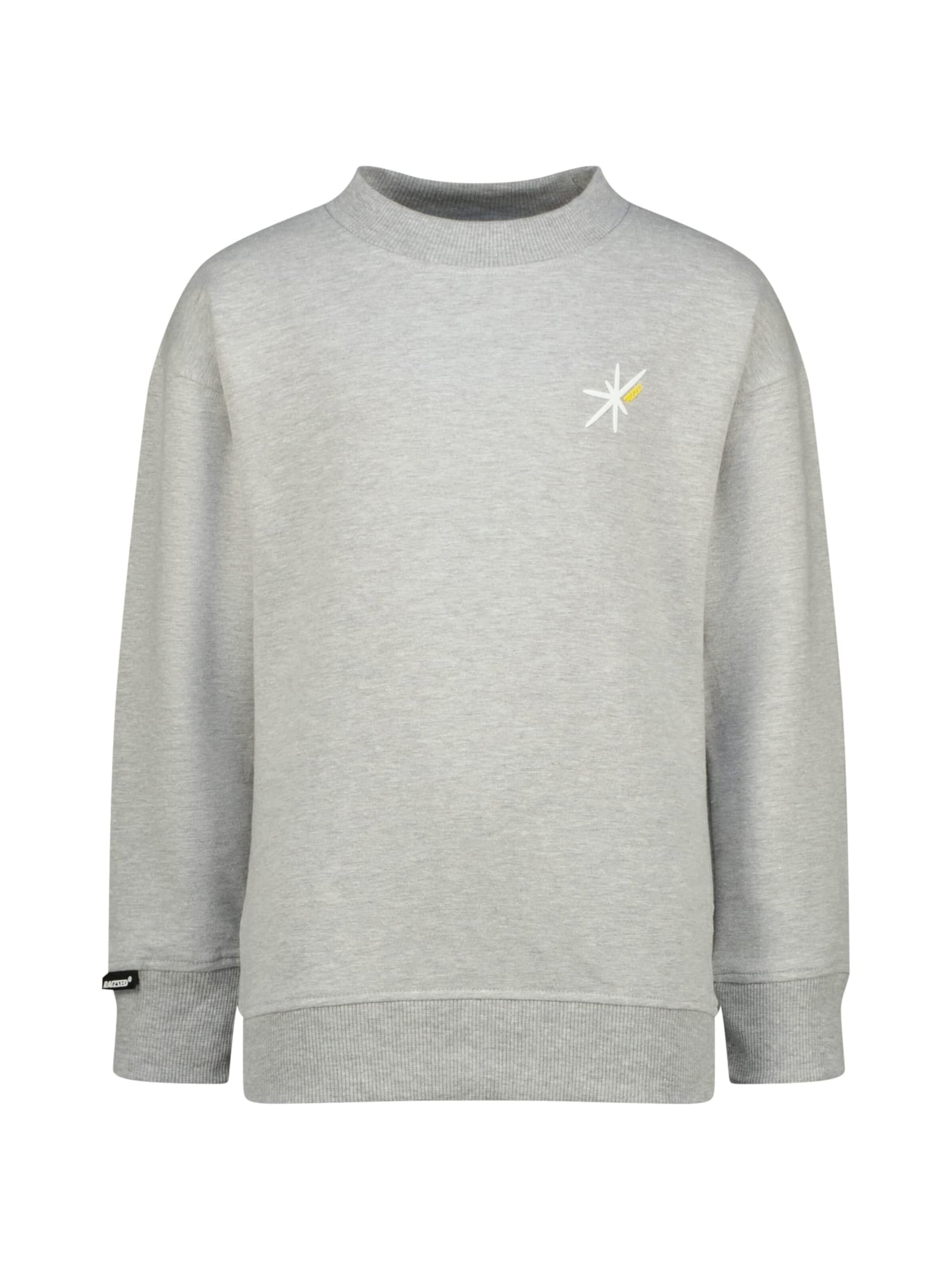 Raizzed Sweater in Grey: front