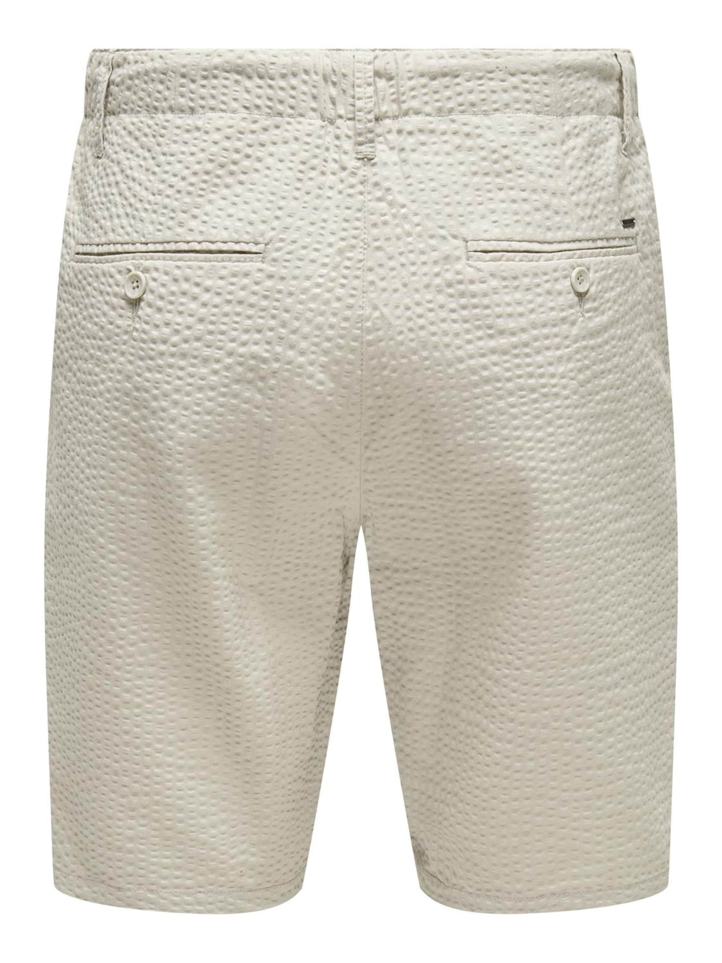 Only & Sons Regular Shorts 'ONSLeo' in Grau