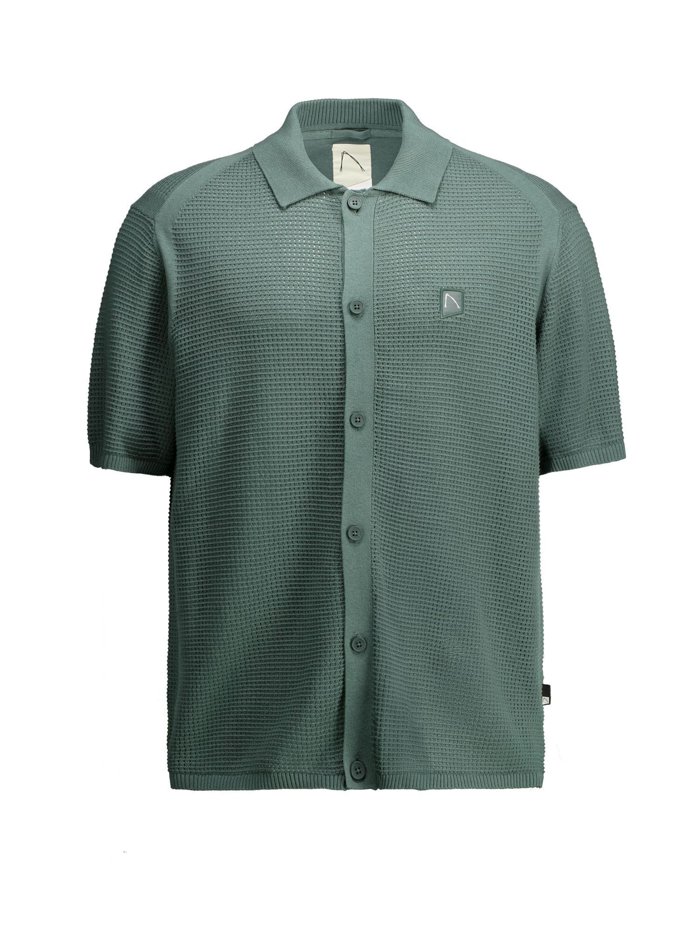 CHASIN' Shirt 'Raf' in Groen: voorkant