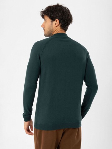 Pull-over Dandalo en vert