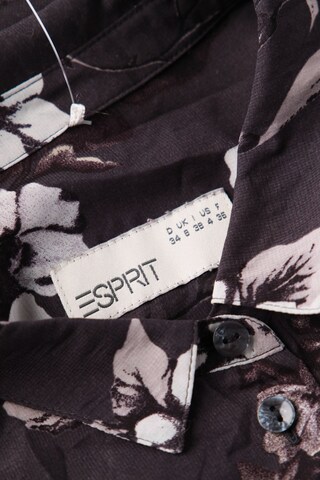 ESPRIT Bluse S in Lila