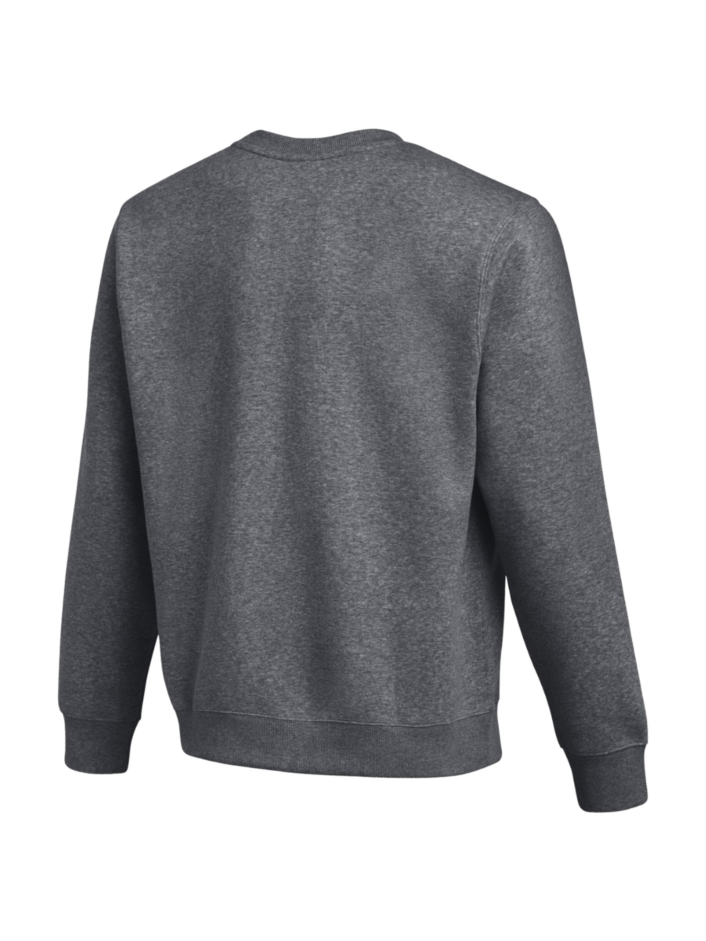 NIKE Sweatshirt 'Nike Park 26 Fleece Crew Swoosh'‌‌‌ in Grau