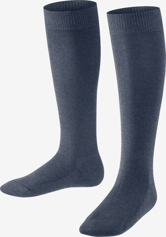 FALKE Socken 'Family' in Blau: Vorderseite