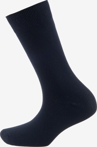 camano Socks in Mixed colors