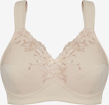 SUSA Bra 'Basic' in Brown: front