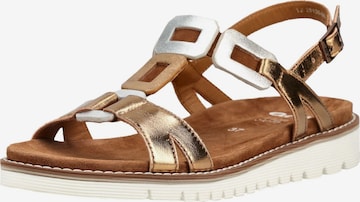 Sandalo con cinturino di ARA in marrone: frontale