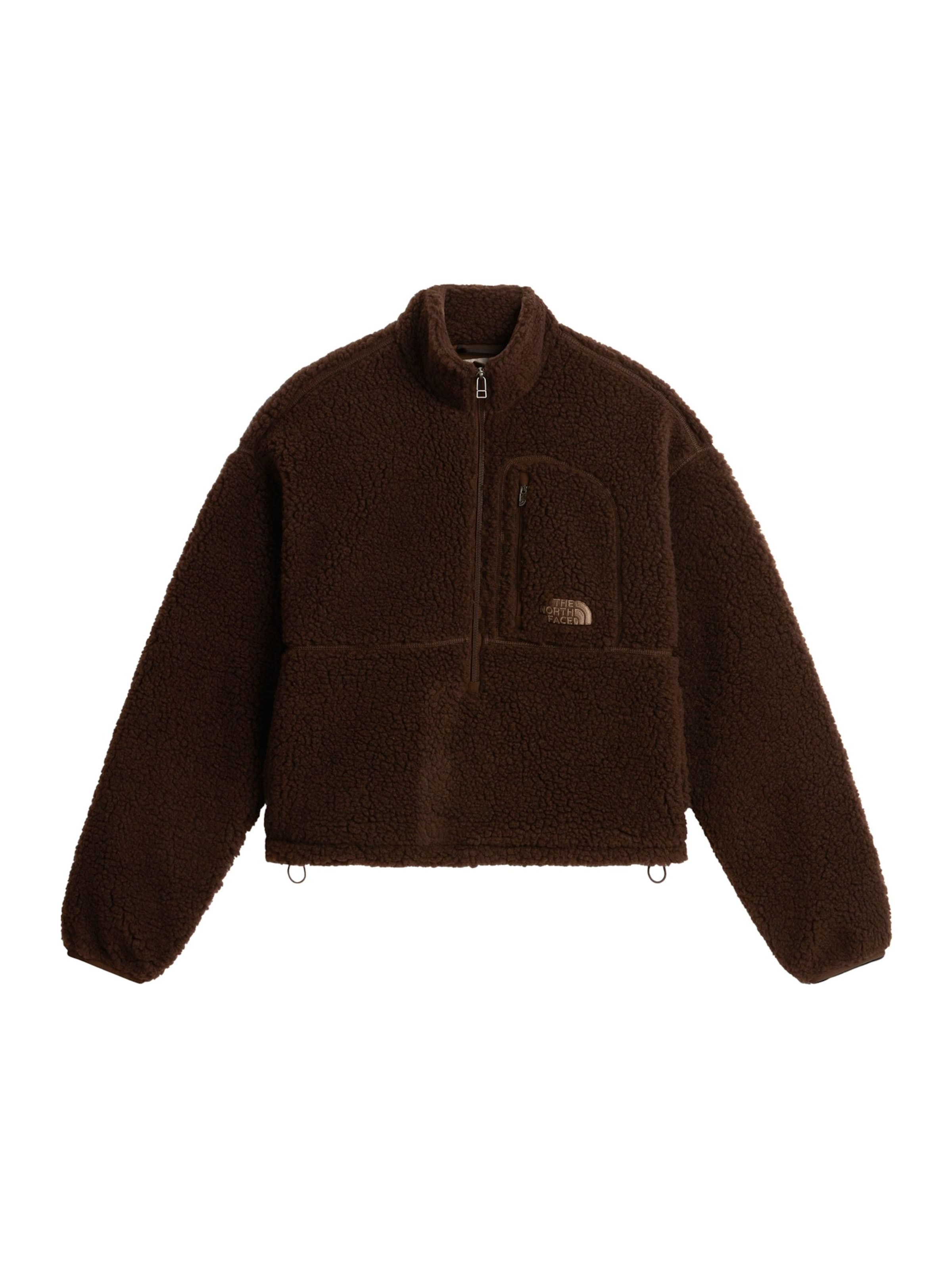 Jachetă  fleece 'Extreme Pile 2' de la THE NORTH FACE pe maro: față