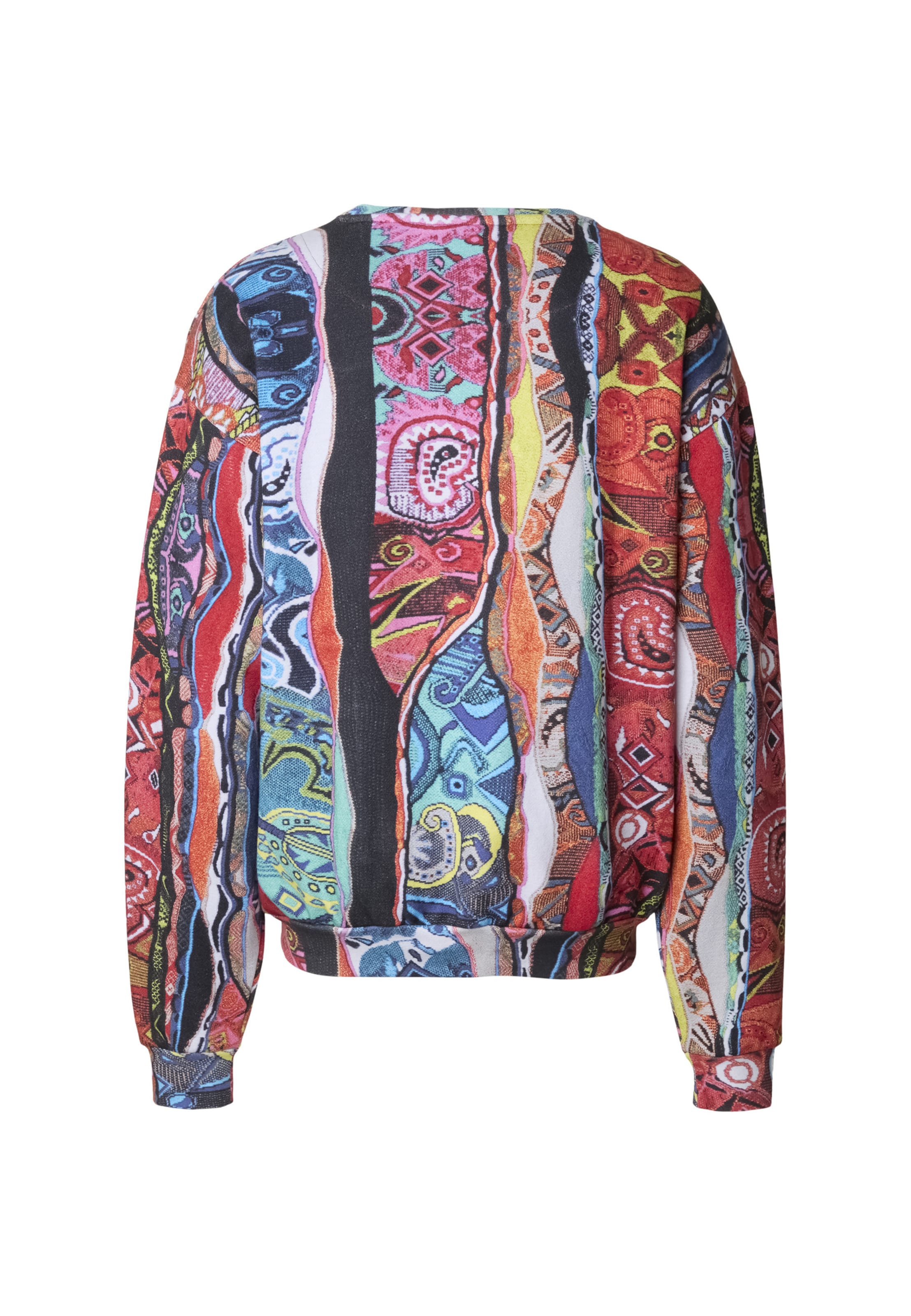 Colucci Sweatshirt in Gemengde kleuren
