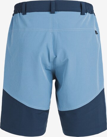 Whistler Regular Workout Pants in Blue
