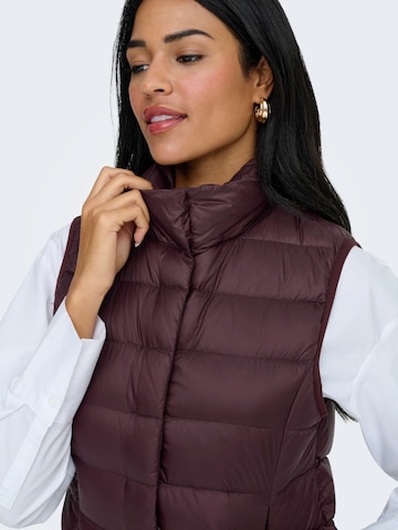 ONLY - Chaleco 'ONLRUBY' en marrón