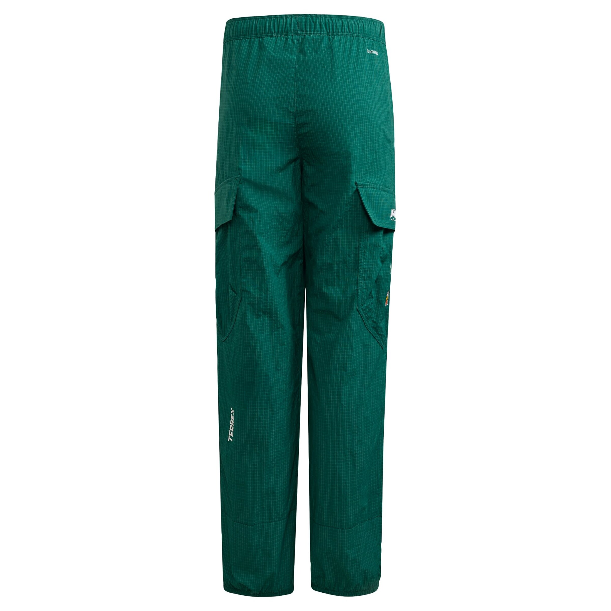 ADIDAS TERREX - regular Pantalón de montaña 'Adidas x Minecraft' en verde