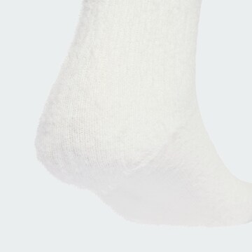 ADIDAS ORIGINALS Sokken in Zwart