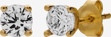 Boucles d'oreilles Lucardi en or : devant