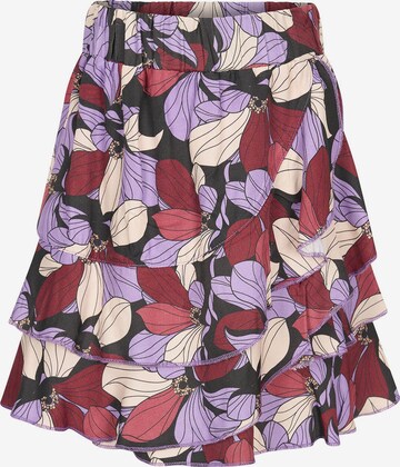 4funkyflavours Skirt 'Lessons' in Mixed colors: front